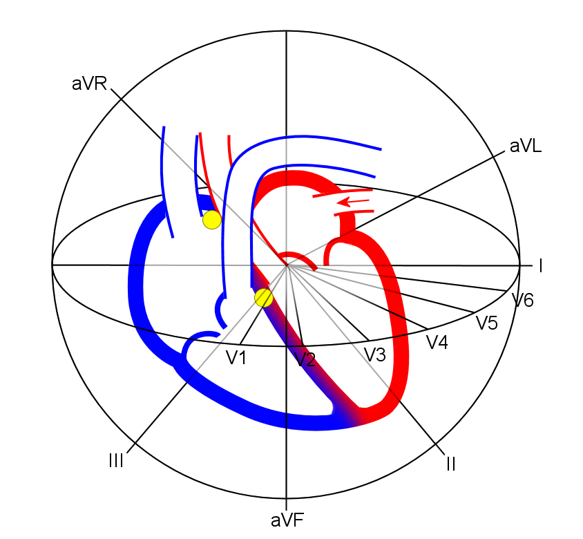 Copy of Image19.png