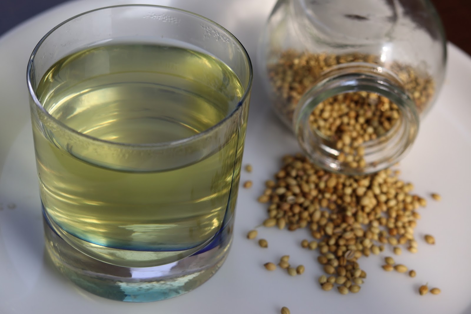 Coriander Seeds Water.jpg