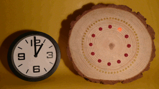 CountClock_Hours_and_Minutes_Prototype_Learning_Level_1.gif