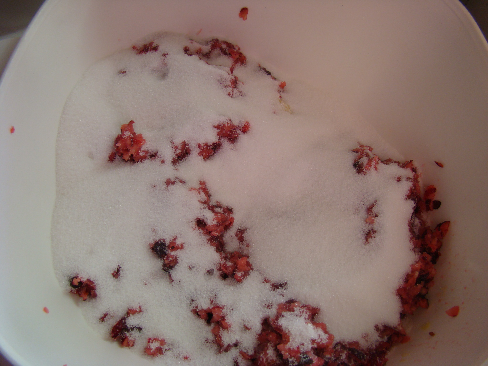 Cranberry Jello Salad 3.JPG