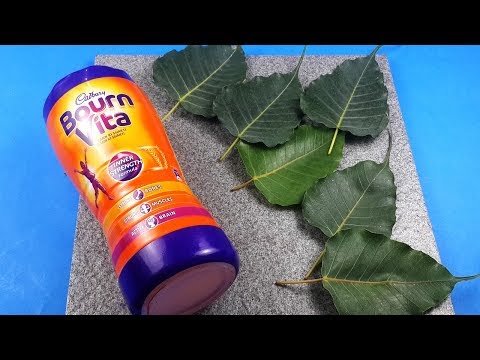Creative Use of Peepal Leaves and Plastic Bottle to Make Awesome Craft! Home Decor StylEnrich
