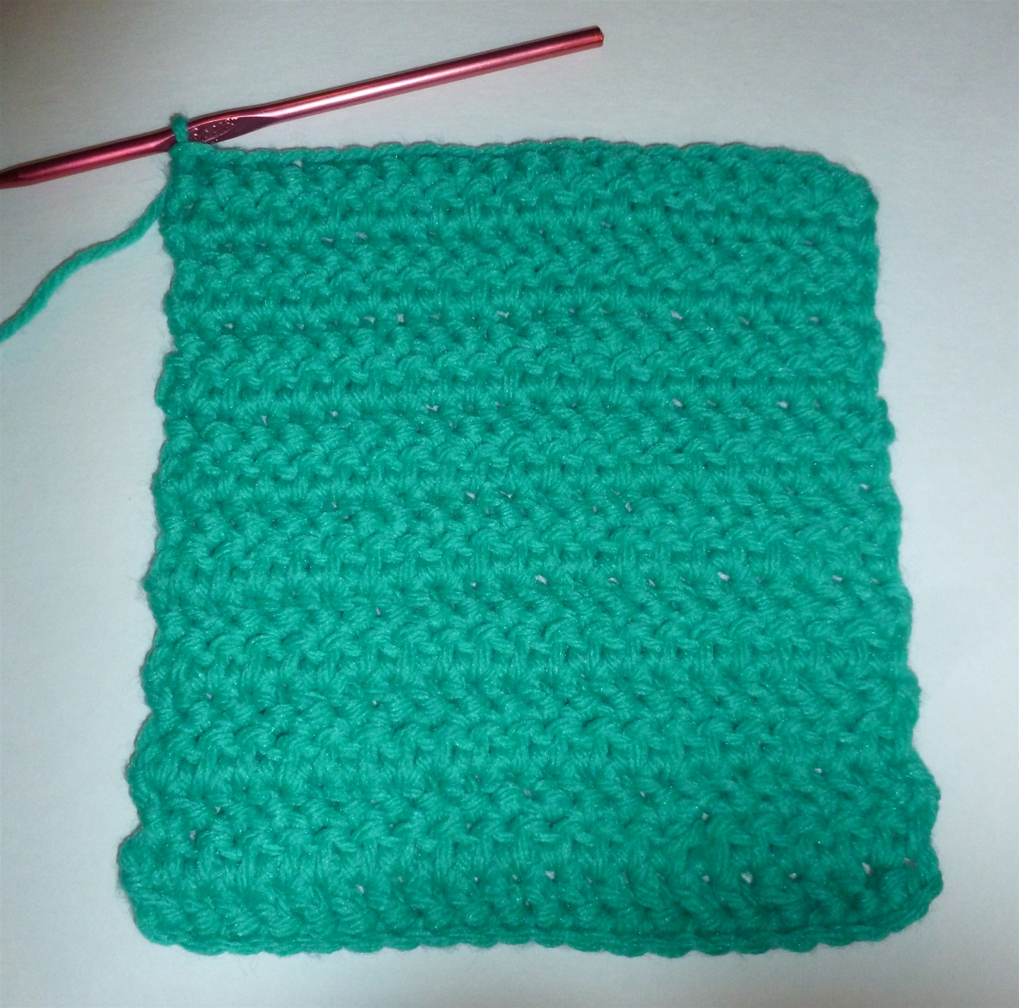 Crochet Pot Holder_0021.jpg