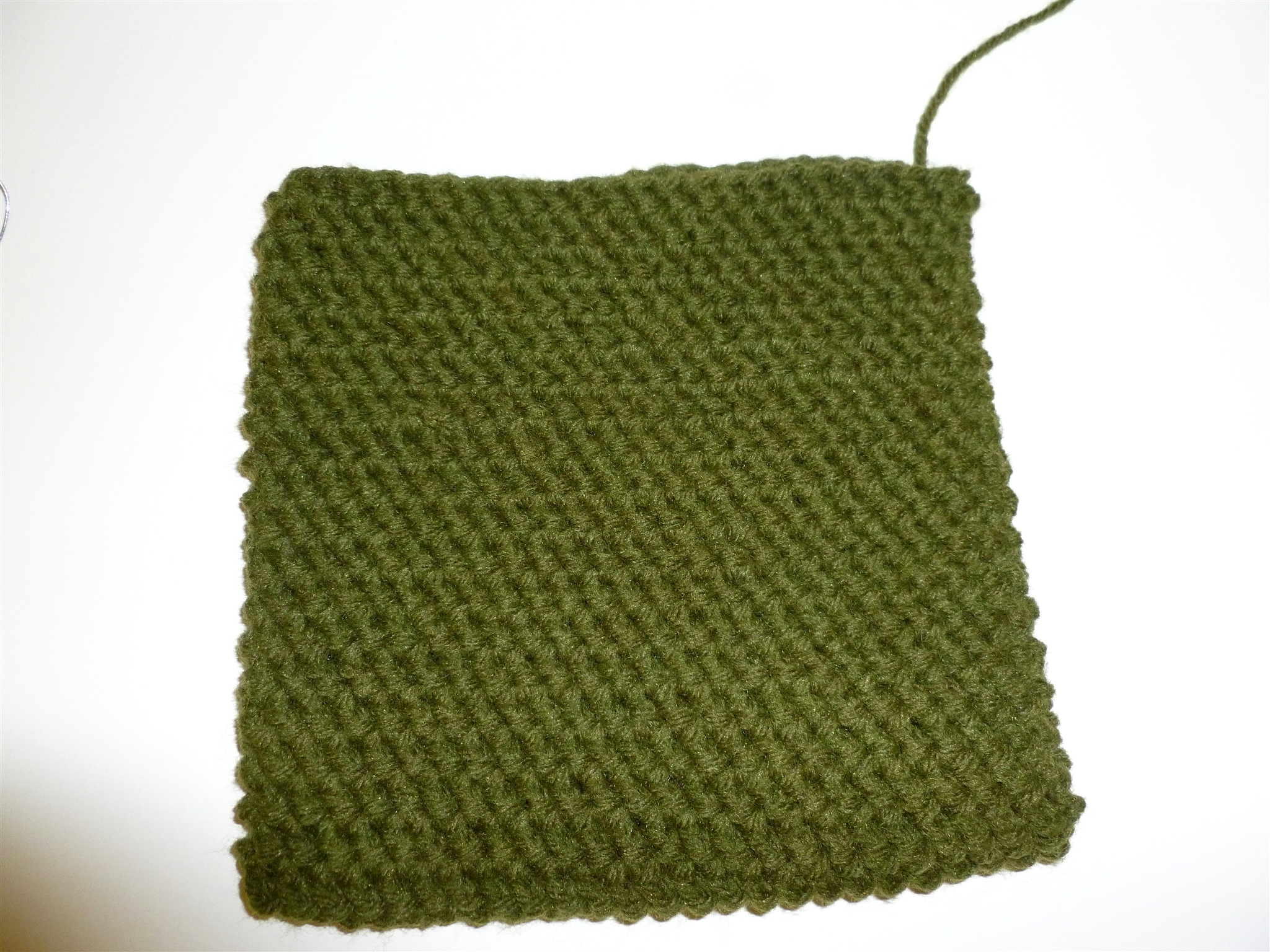 Crochet Pot Holder_0055.jpg