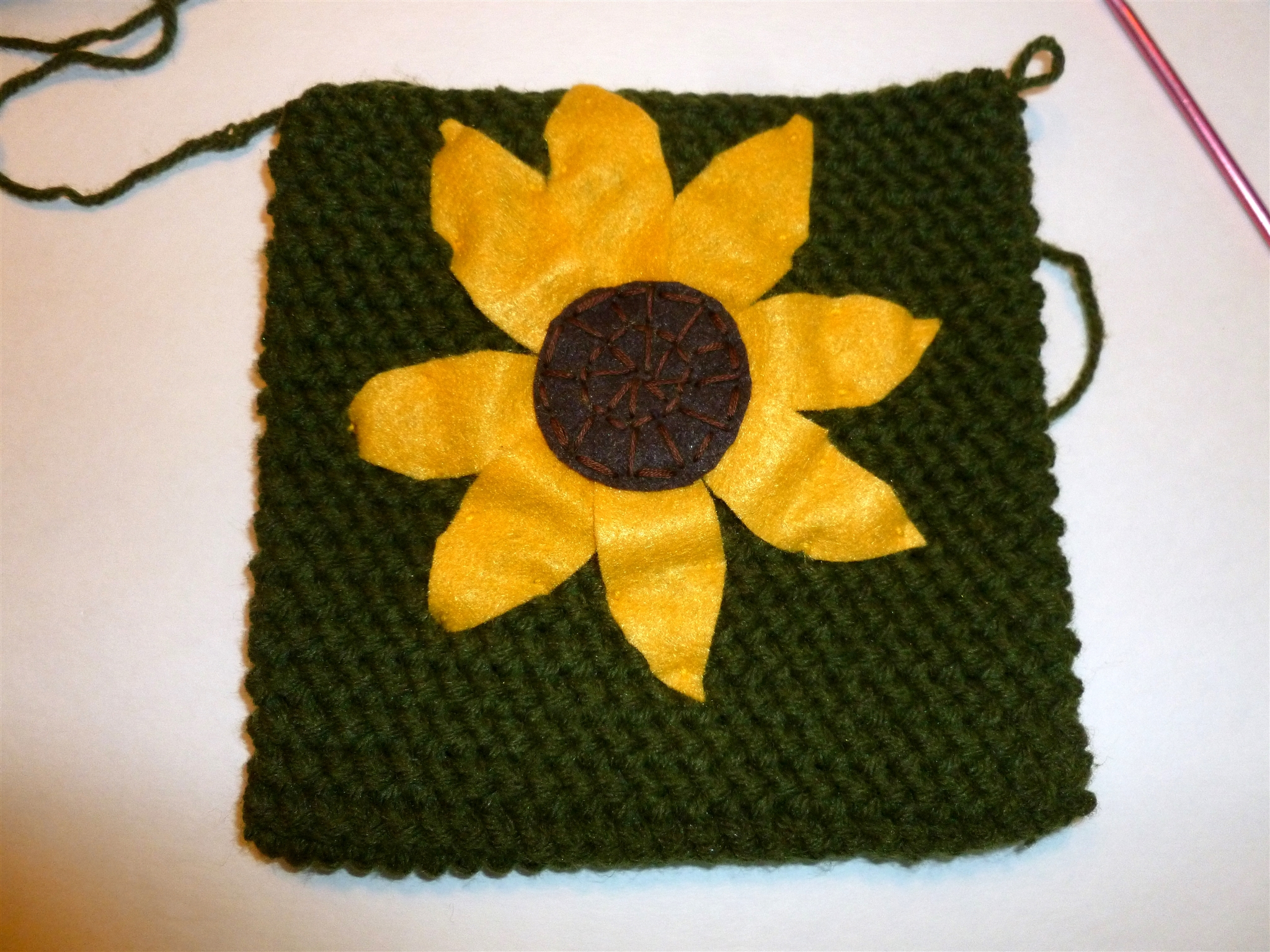 Crochet Pot Holder_0060.jpg