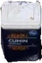 Cumin.jpg