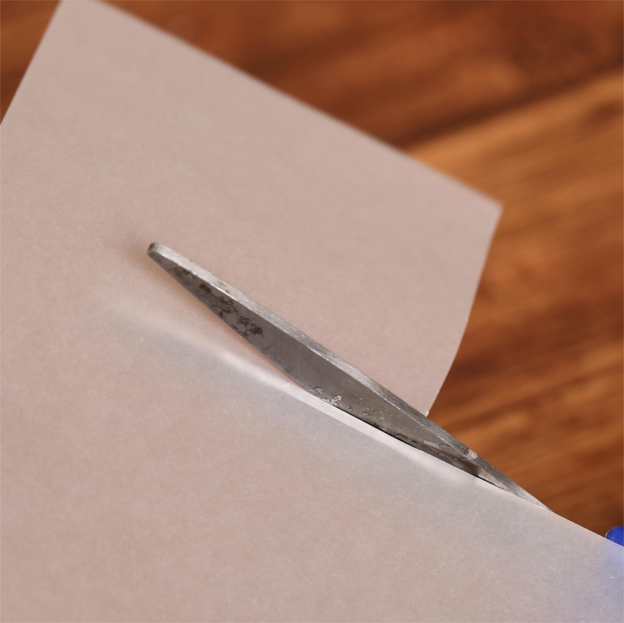 Cut translucent sulfuric acid paper.JPG
