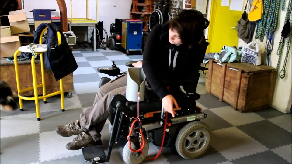 D4E1 Helping leash system for assistance dogs