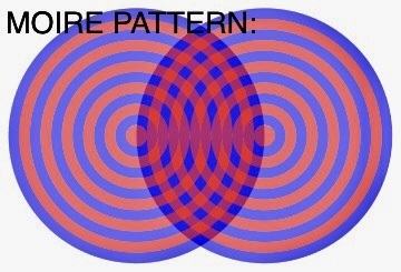 D8CA31AE-C781-4178-857D-A1F19F4886CD.jpeg