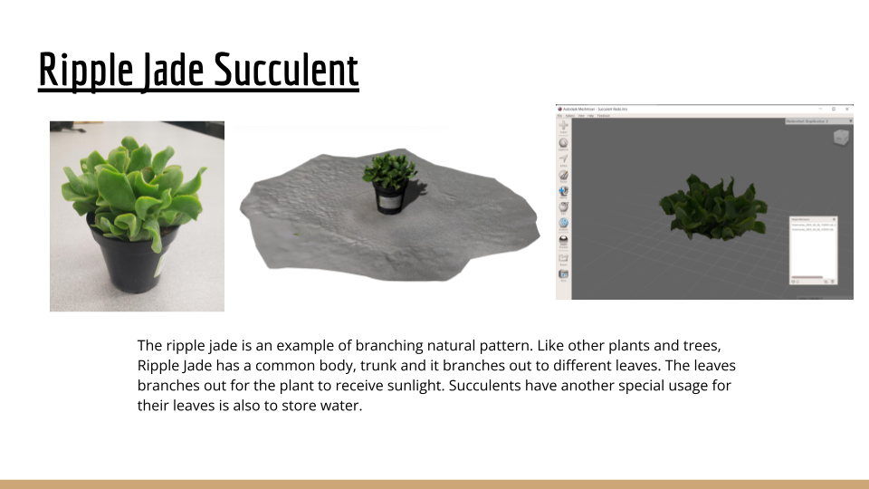 DESN551-P1-Photogrammetry &amp; 3D Printing-Khoa Le (3).png