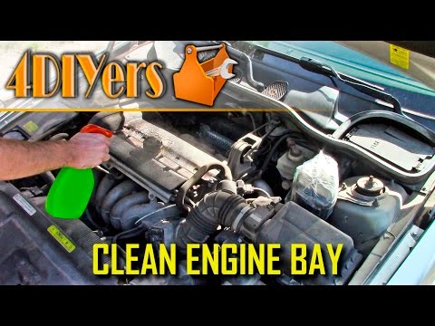 DIY: How to Clean an Engine Bay