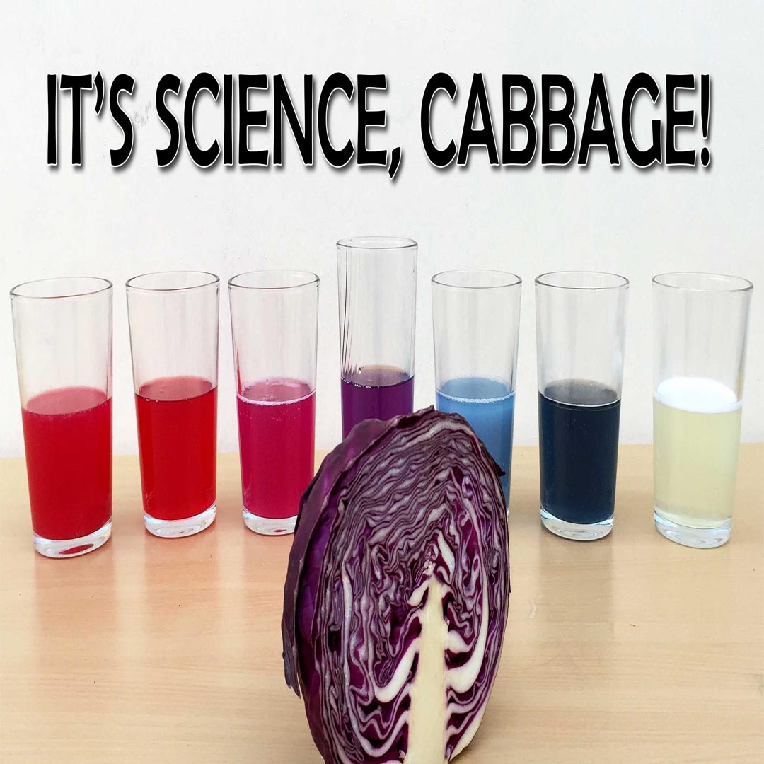 DIY Cabbage indicator instructable thumbnail.jpg