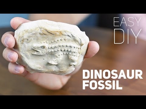 DIY Dinosaur Fossil