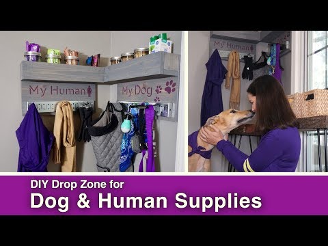 DIY Dog and Human Drop Zone // Leash /Jacket /Treats