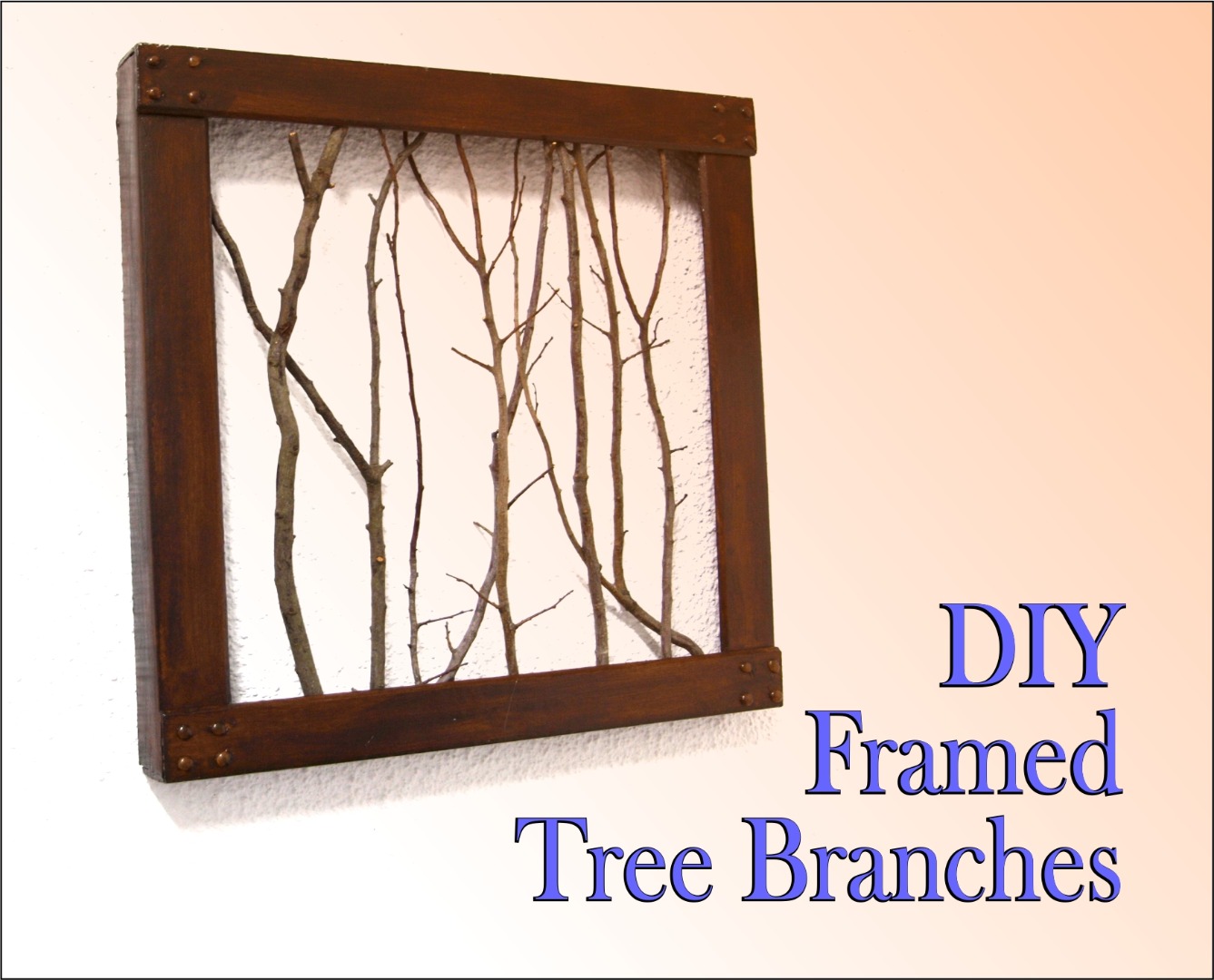 DIY Framed Branches 0.jpg