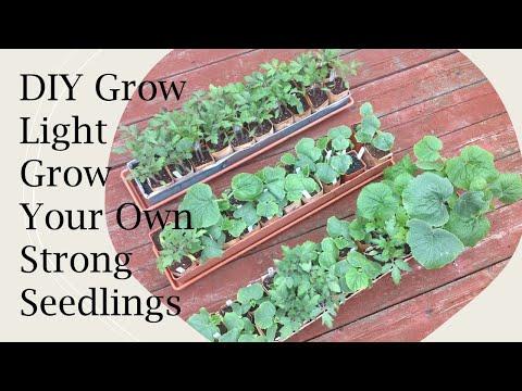 DIY Grow Light Grow Your Own Strong Seedlings