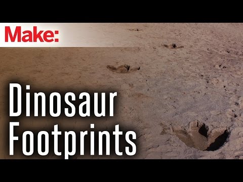 DIY Hacks and How Tos   Dinosaur Footprints