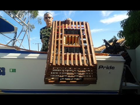 DIY How To Build Your Own Craypot (Lobster Pot) Perth WA