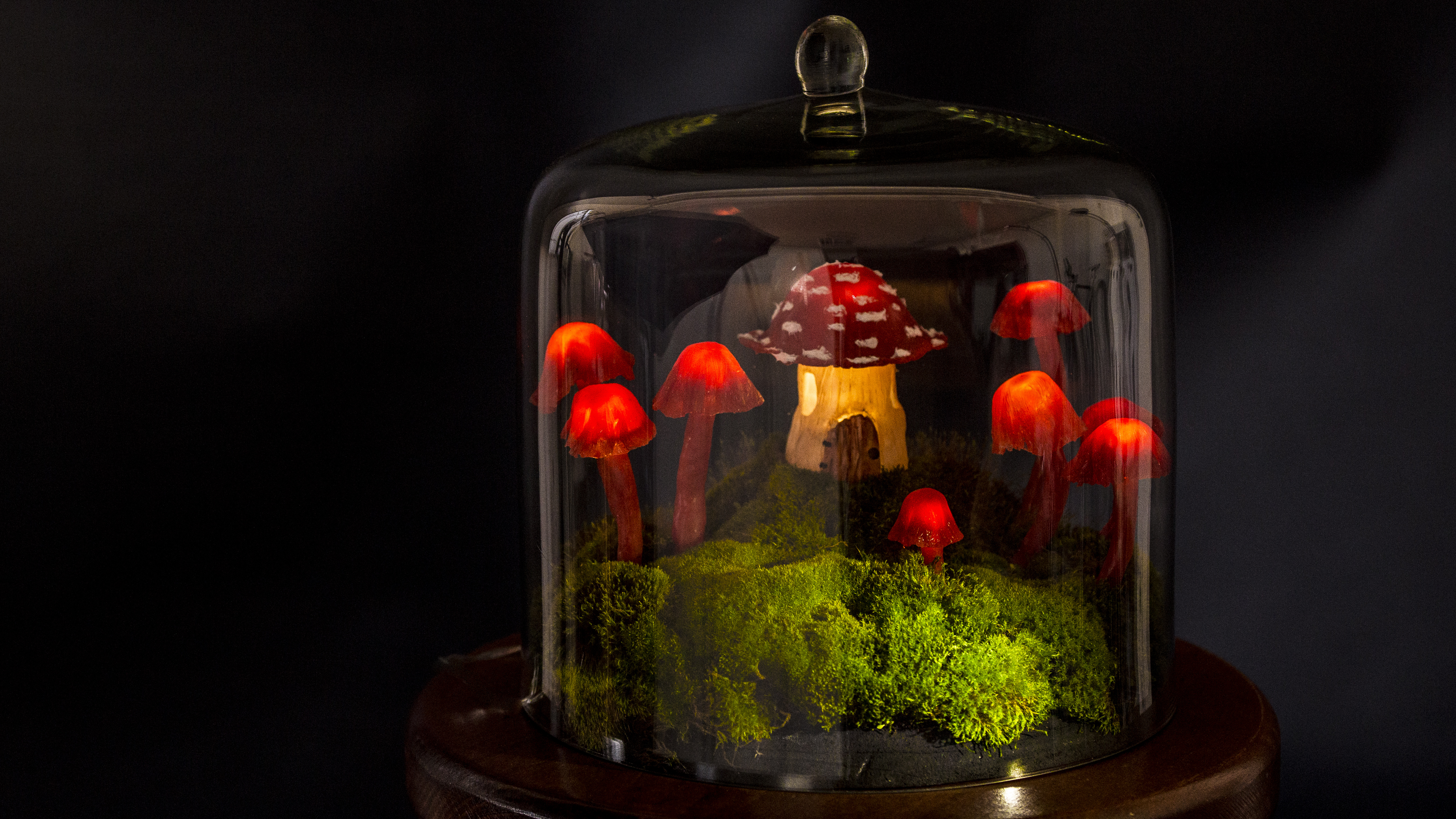 DIY Miniature Fairy Garden - Enchanted Mushroom Lights.jpg