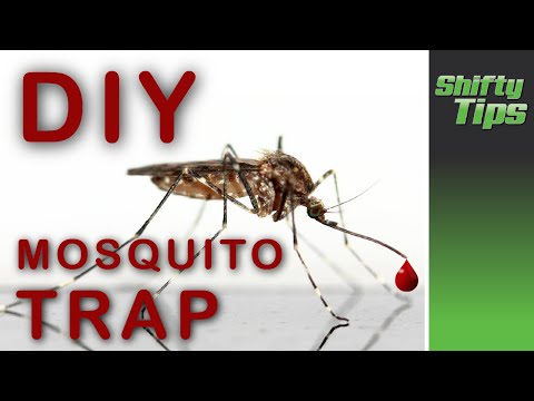 DIY Mosquito Trap