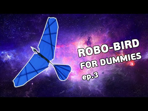 DIY Ornitopther: tail, remote control and final flight