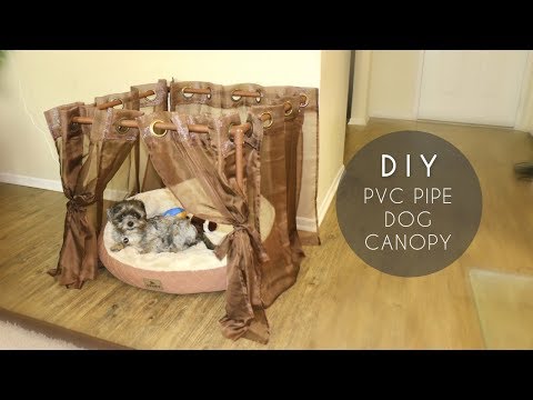 DIY PVC Pipe Dog Canopy