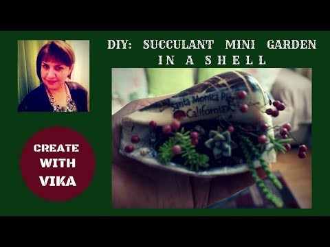 DIY SUCCULANT MINI GARDEN IN A SHELL