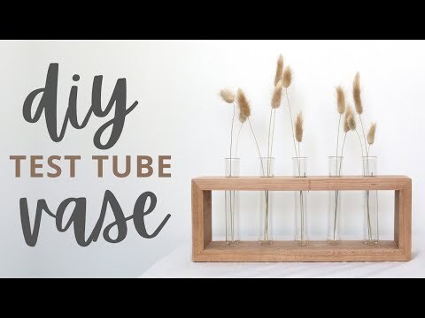 DIY Test Tube Vase