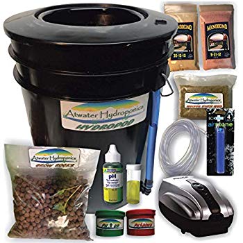 DIY hydroponics.jpg