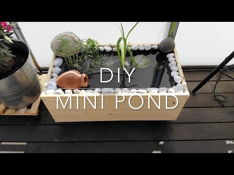 DIY mini pond