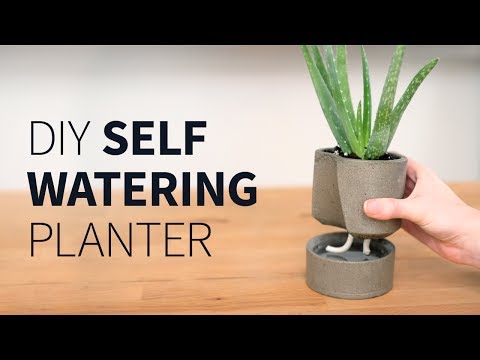 DIY self watering concrete planter