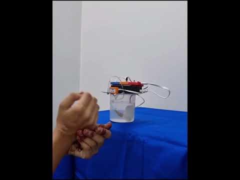 DIY touchless senitiser dispenser made using Havi elements - DIY robotics starter kit.