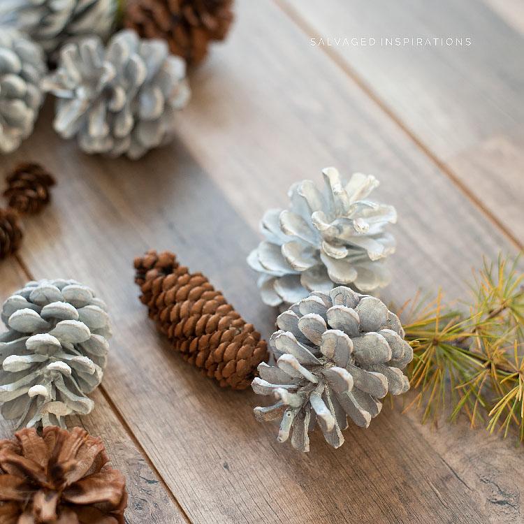 DIY-BLEACHED-PINECONES-SALVAGED-IG.jpg