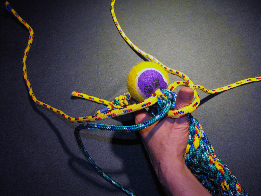 DOG_TOY_TENNIS_BALL_HEAD (103).JPG