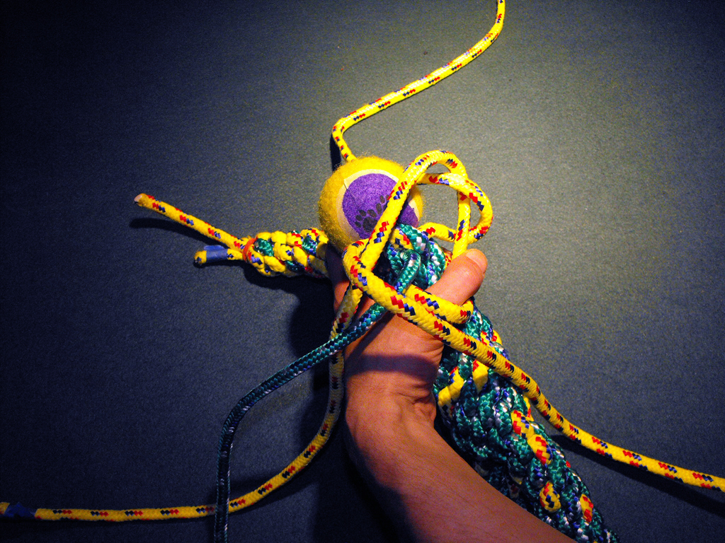 DOG_TOY_TENNIS_BALL_HEAD (107).JPG