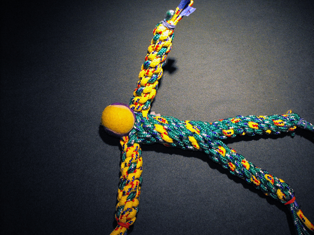 DOG_TOY_TENNIS_BALL_HEAD (111).JPG