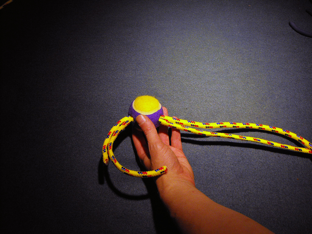 DOG_TOY_TENNIS_BALL_HEAD (13).JPG