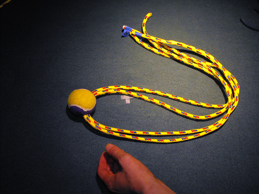 DOG_TOY_TENNIS_BALL_HEAD (15).JPG