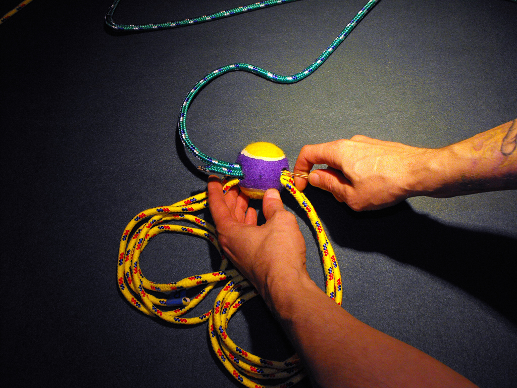 DOG_TOY_TENNIS_BALL_HEAD (25).JPG