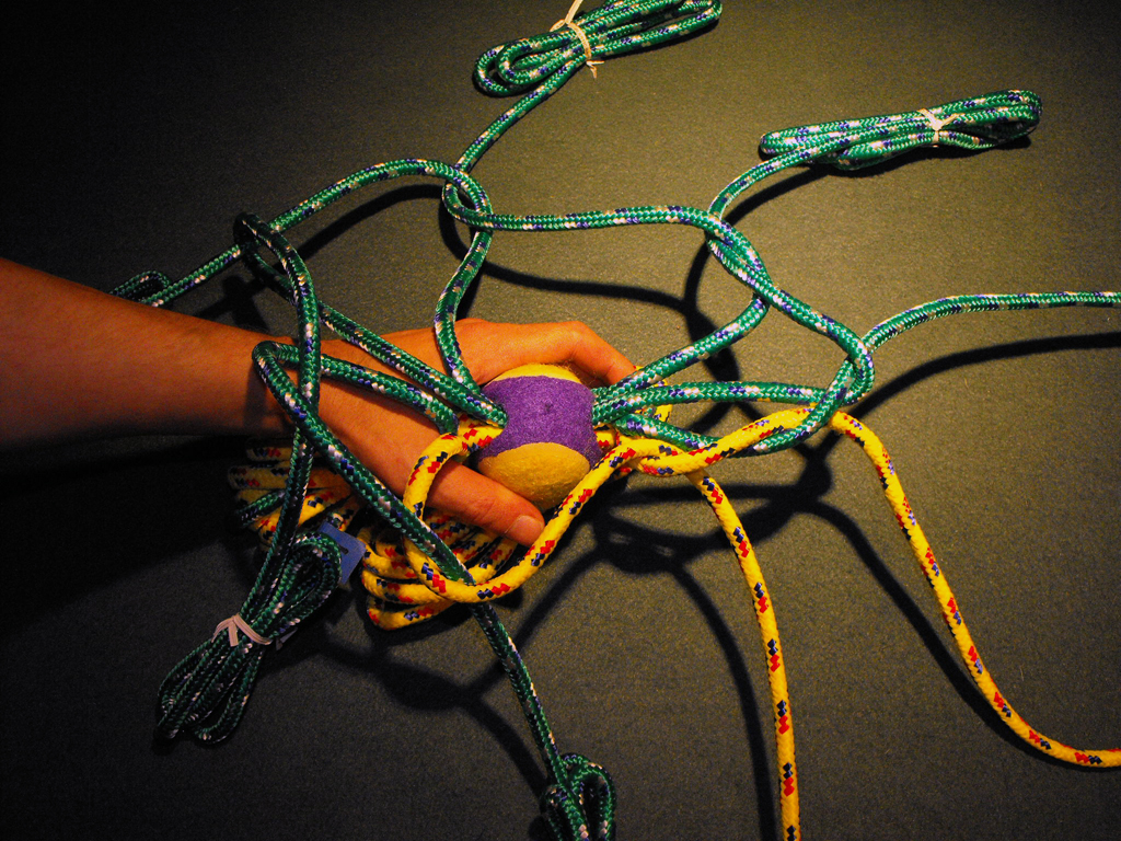 DOG_TOY_TENNIS_BALL_HEAD (48).JPG