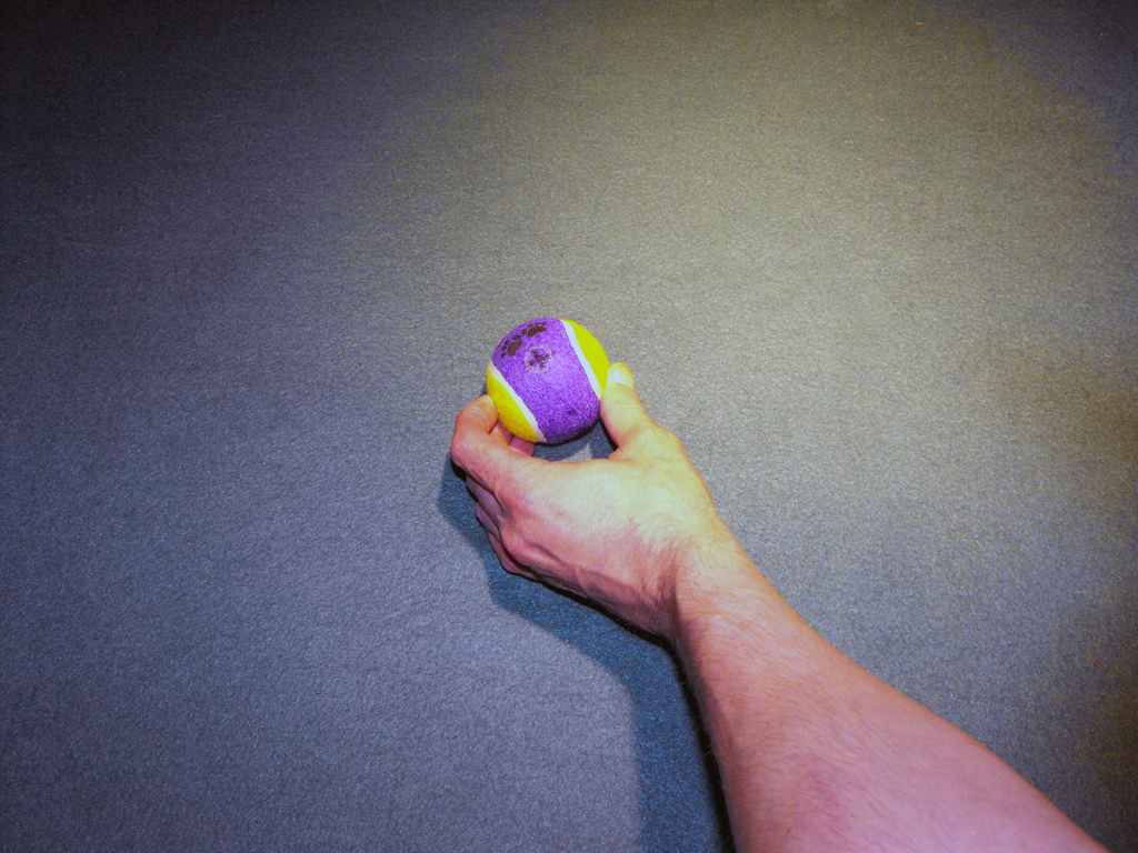 DOG_TOY_TENNIS_BALL_HEAD (6).JPG