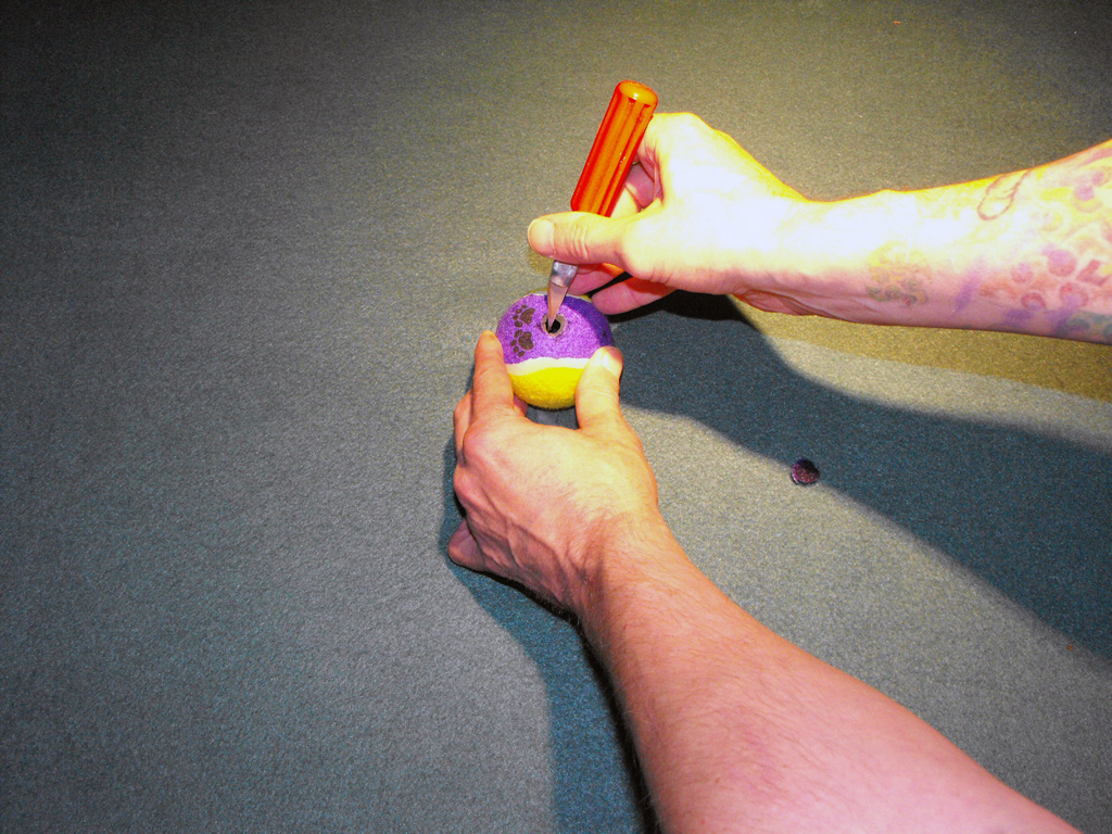 DOG_TOY_TENNIS_BALL_HEAD (9).JPG