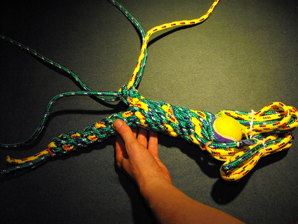 DOG_TOY_TENNIS_BALL_HEAD (93).JPG