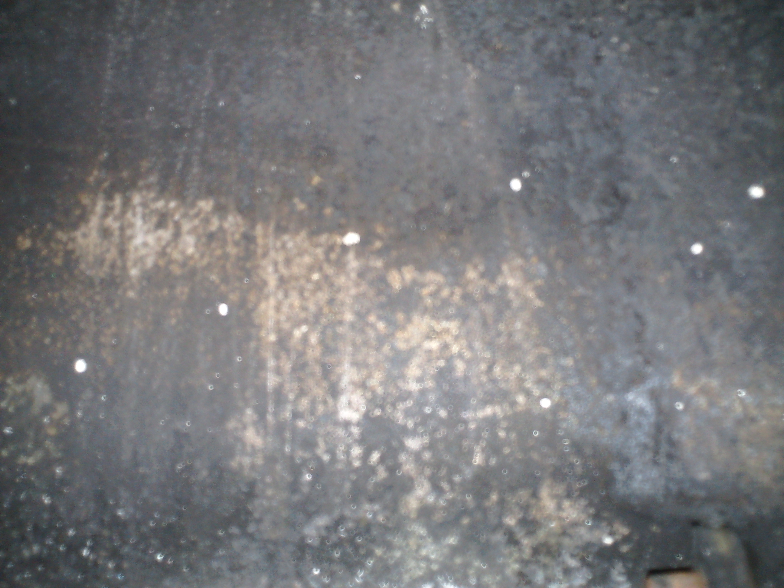DSC00177.JPG