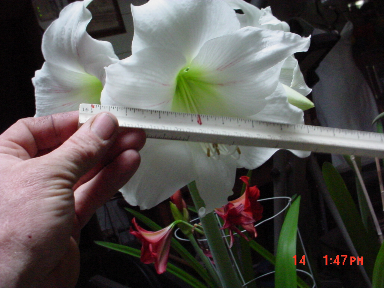 DSC00750.JPG