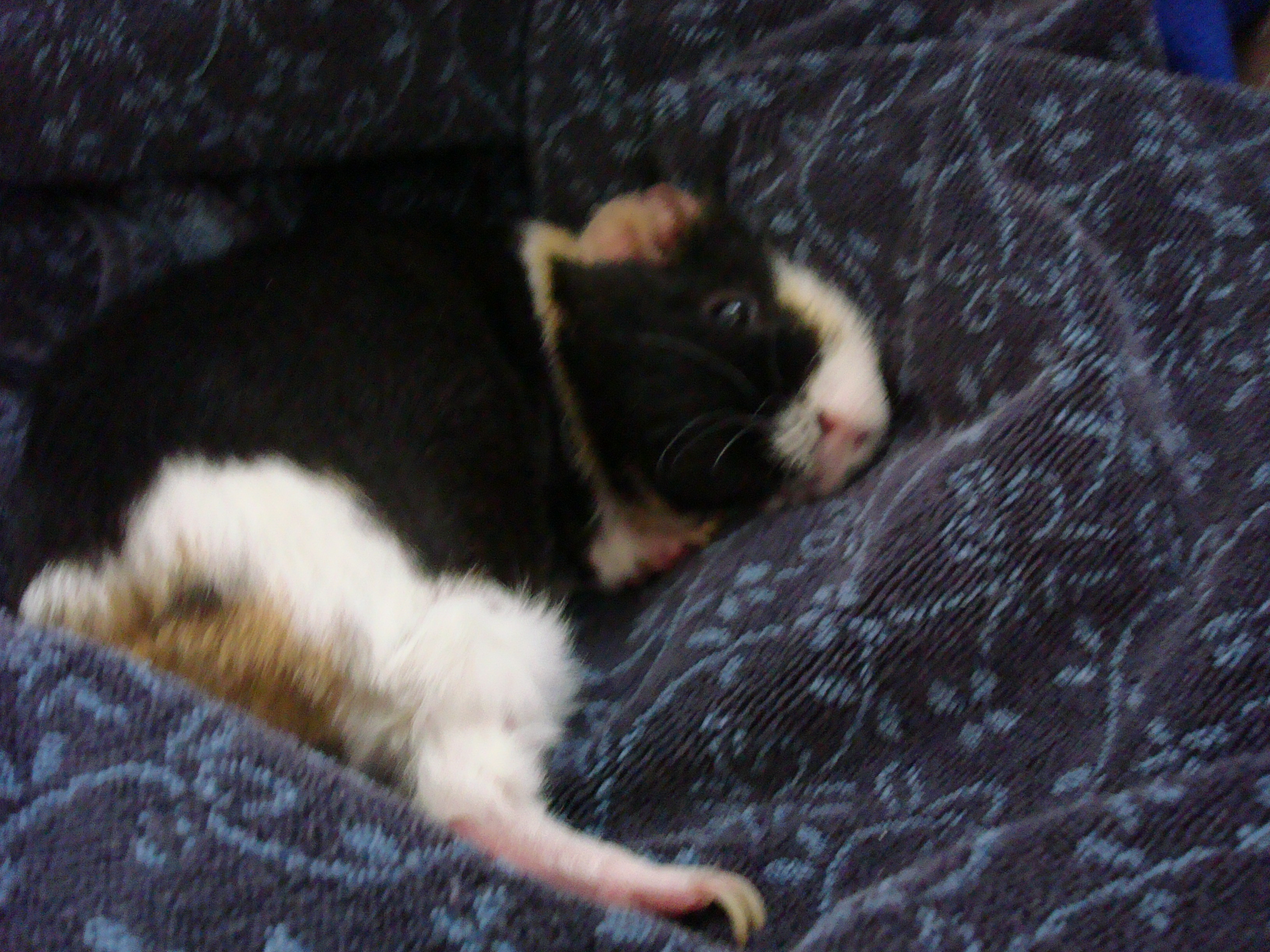 DSC00813.JPG