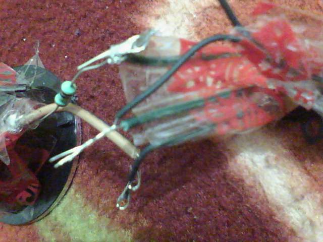DSC00926.JPG