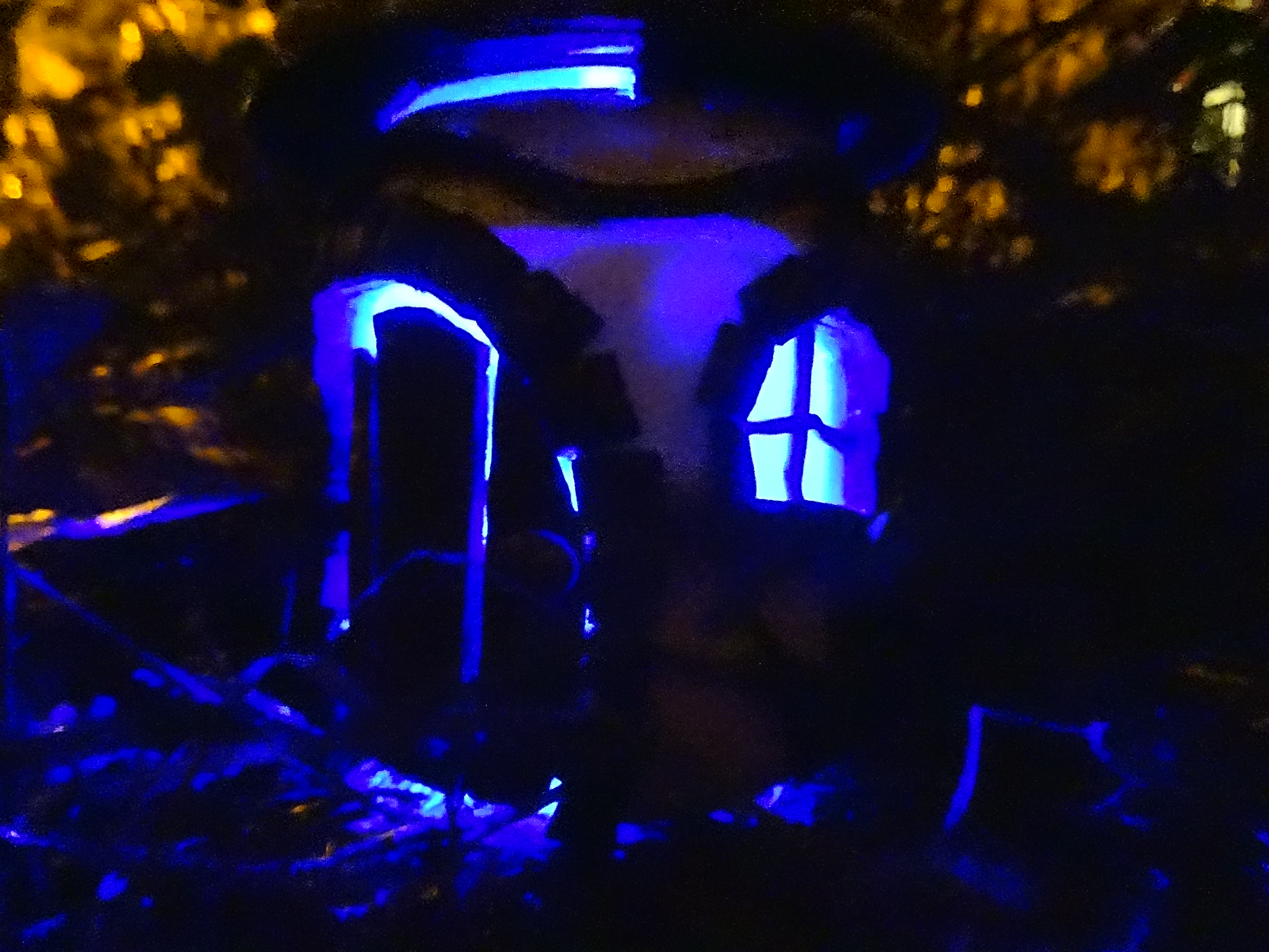 DSC00955.JPG