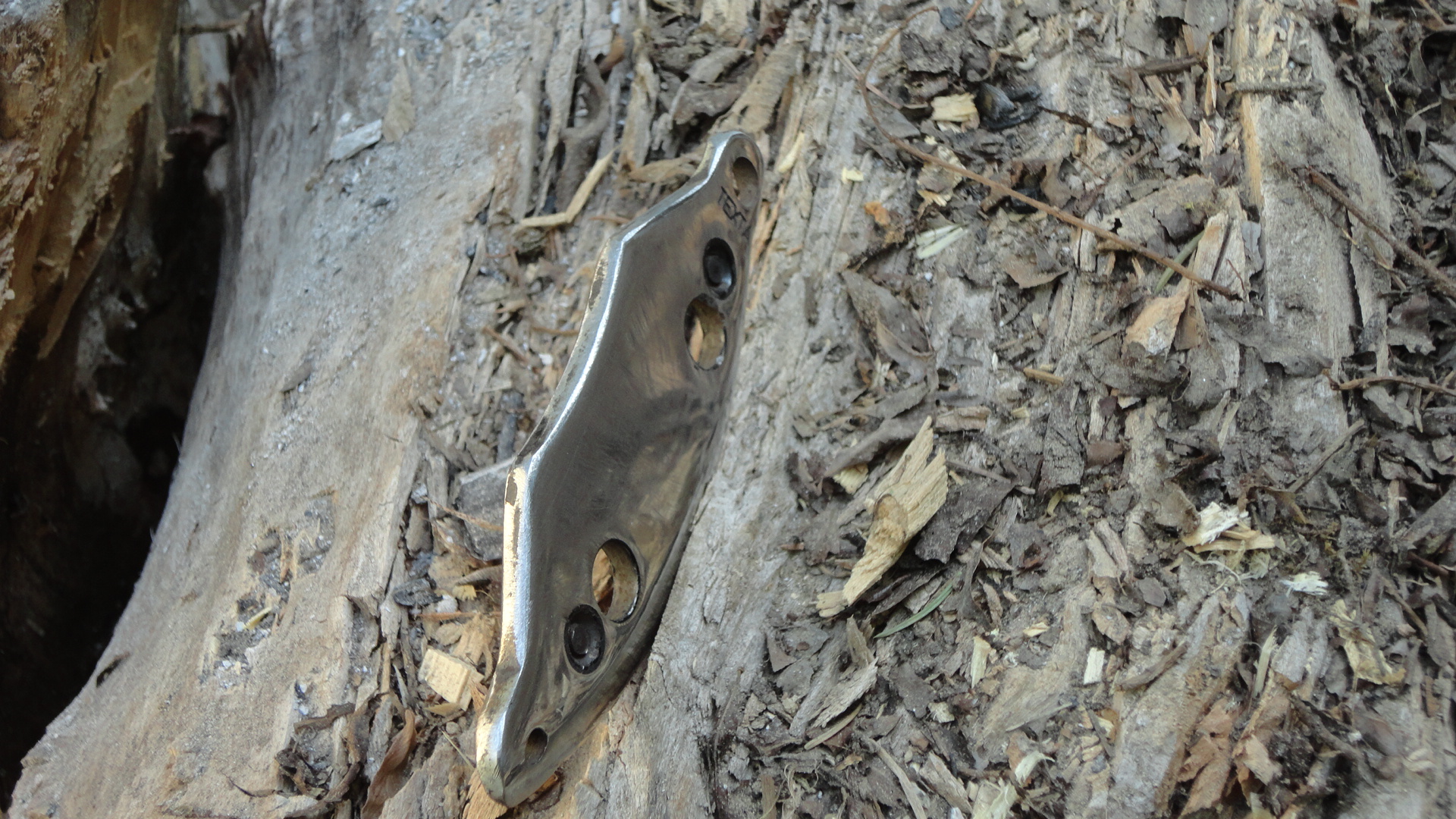 DSC00998.JPG