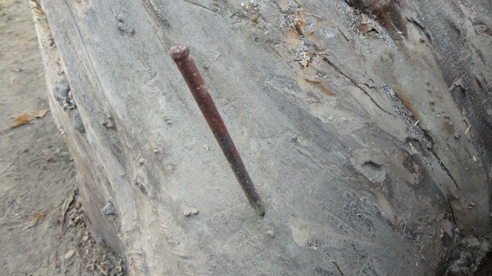 DSC01007.JPG