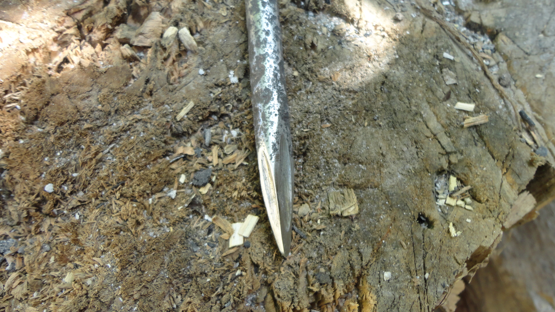 DSC01010.JPG
